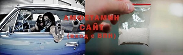 индика Зеленокумск